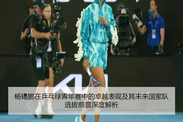 杨锡鹏在乒乓球青年赛中的卓越表现及其未来国家队选拔前景深度解析